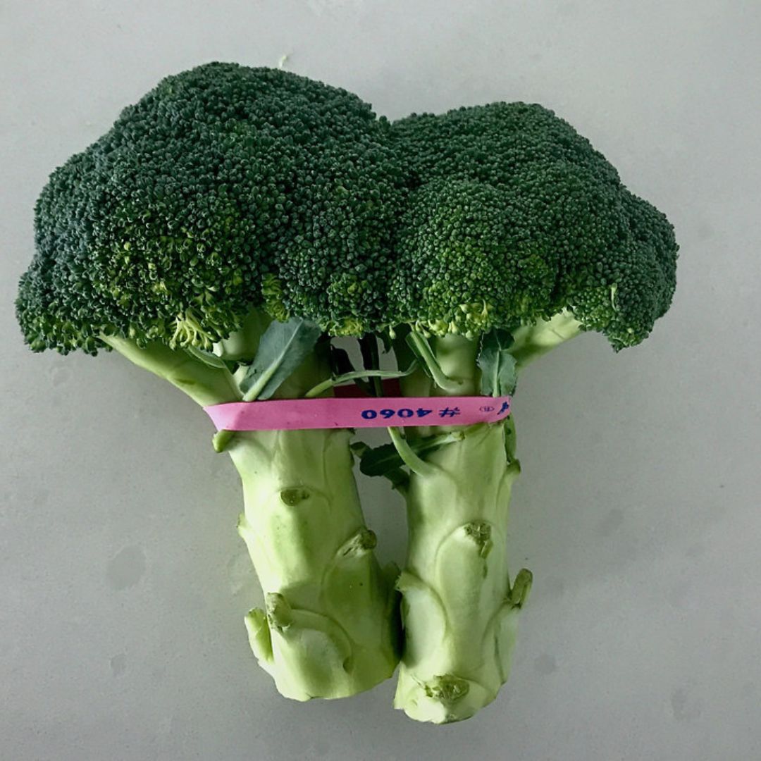 food-produce-printed-elastic-bands-img